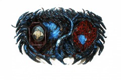 6bCross-section_of_Interior